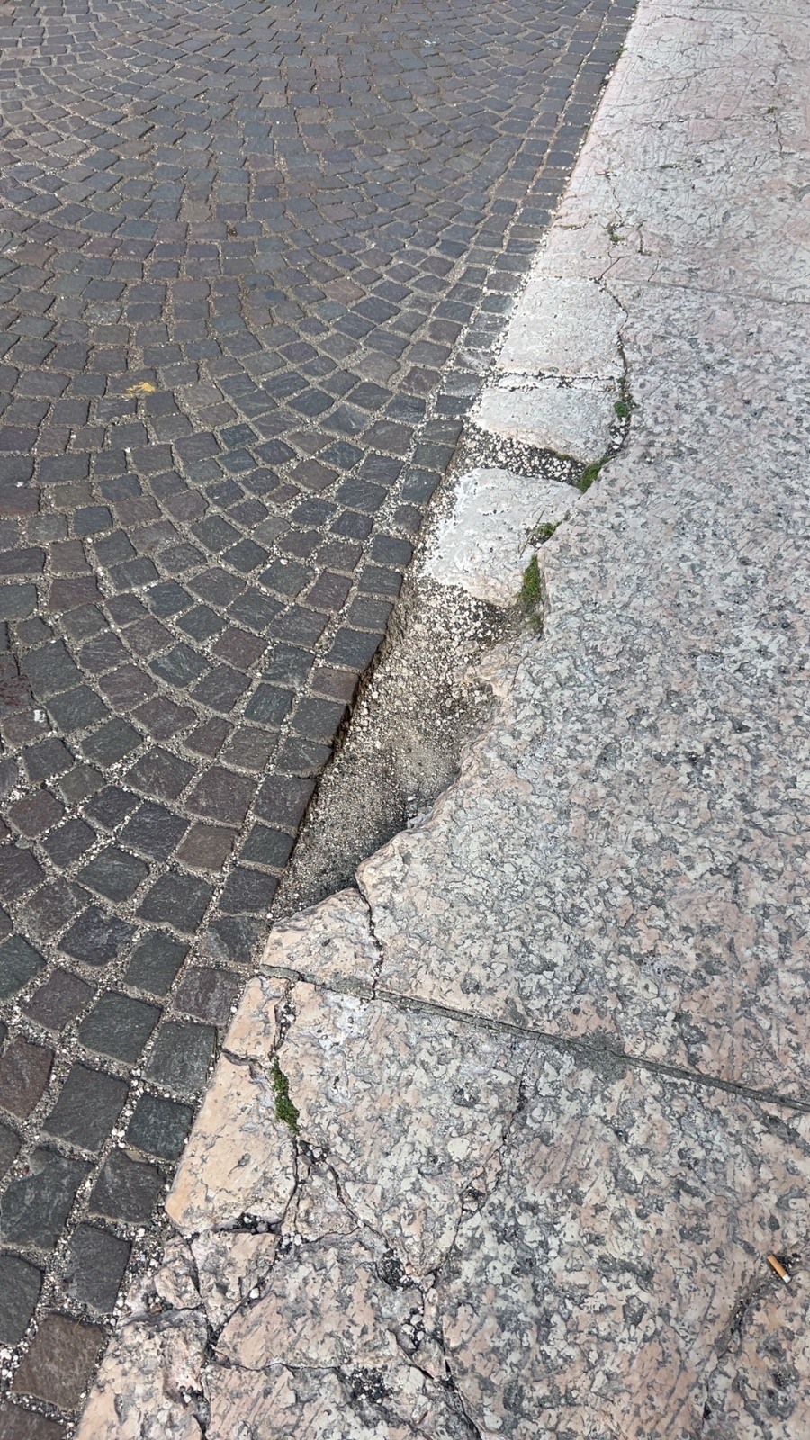 Foto segnalazione MVV-24708
