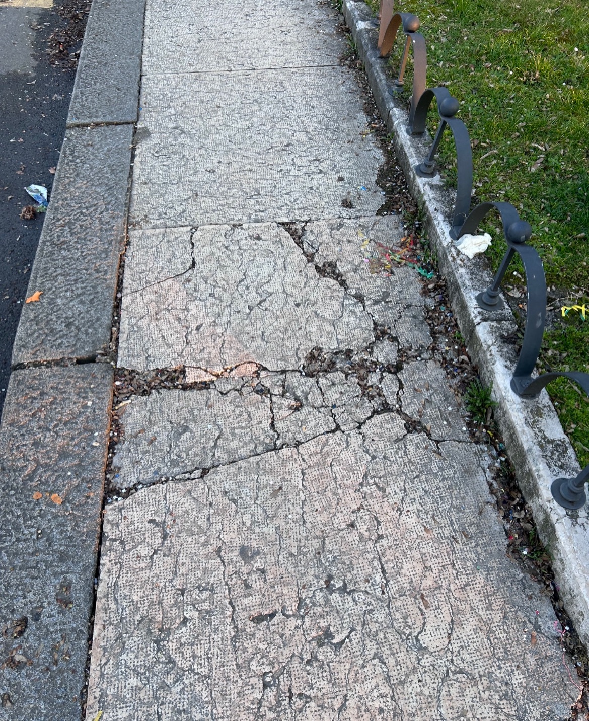 Foto segnalazione MVV-11469