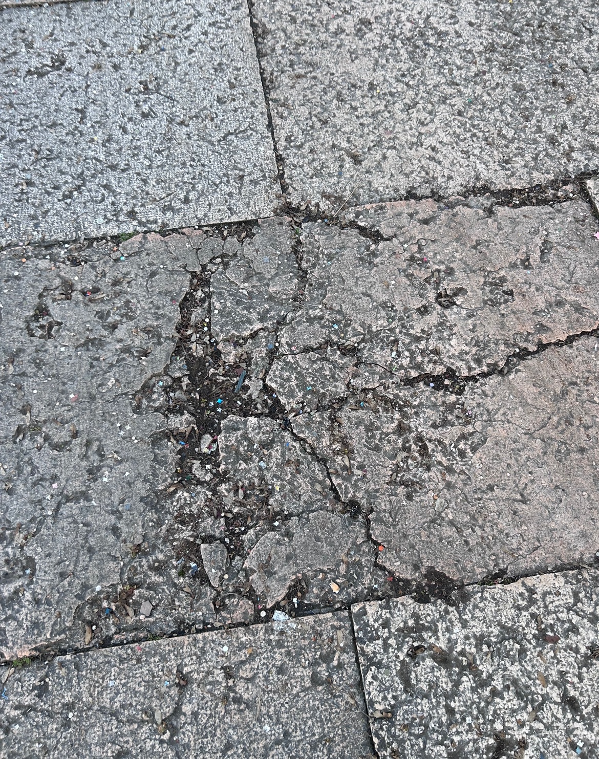 Foto 3 della segnalazione MVV-11469