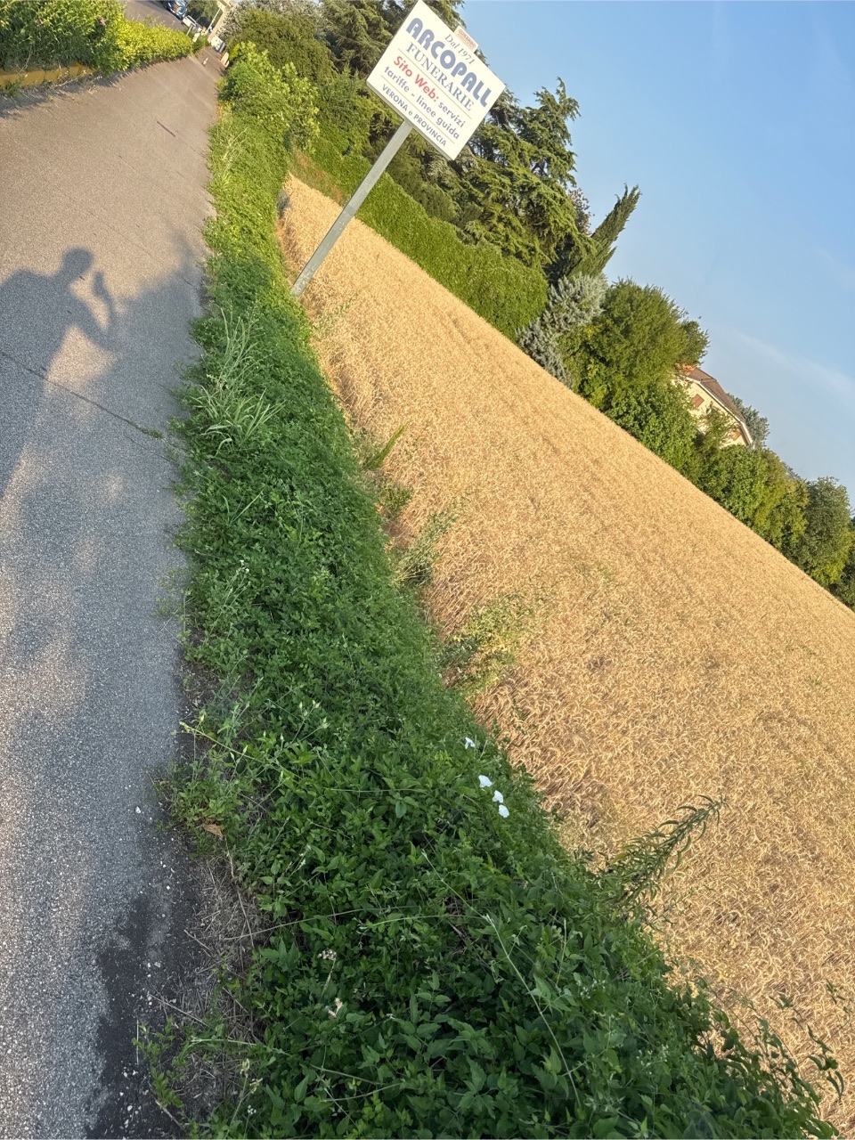 Foto segnalazione MVV-17071