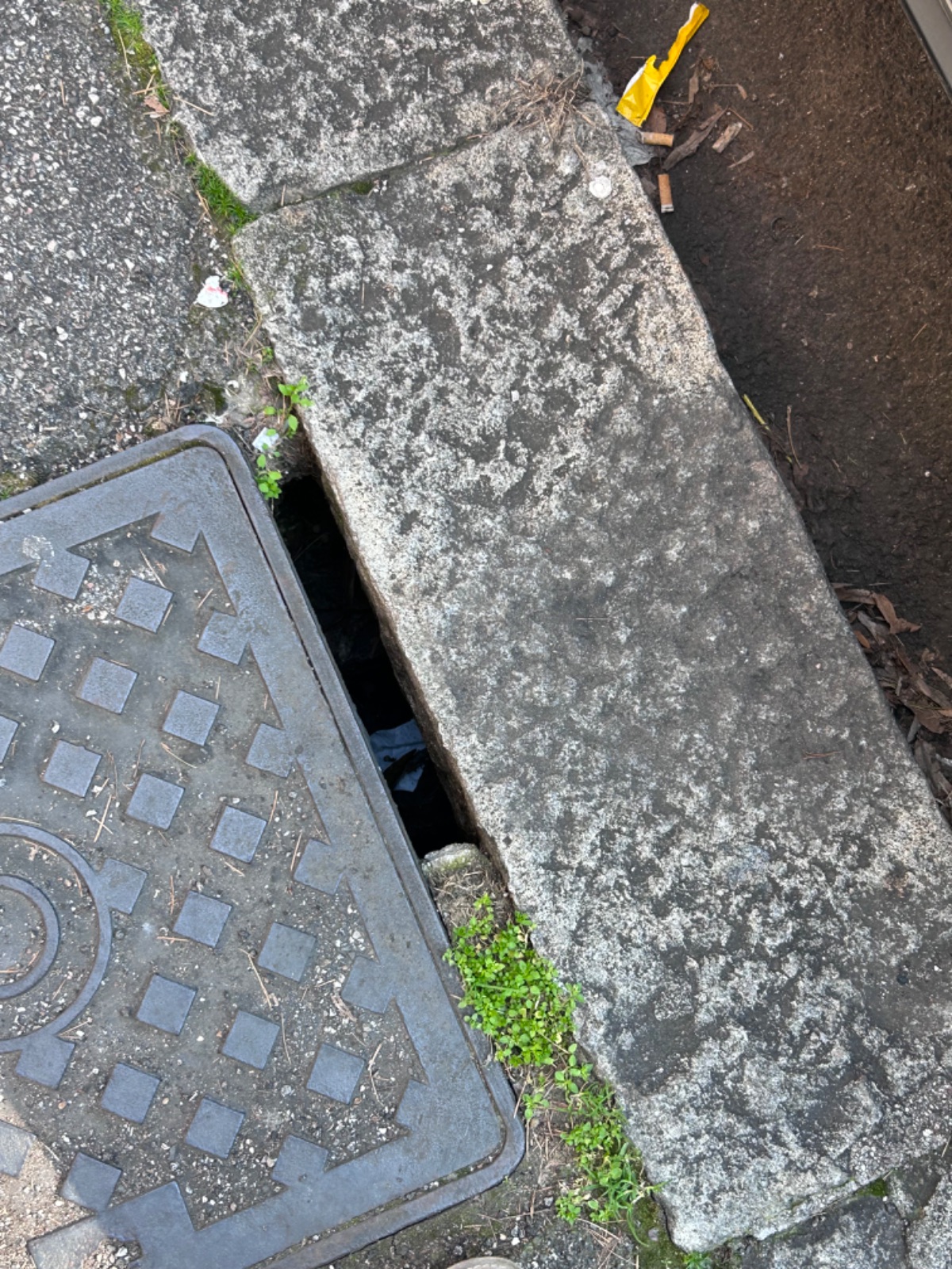 Foto segnalazione MVV-45035