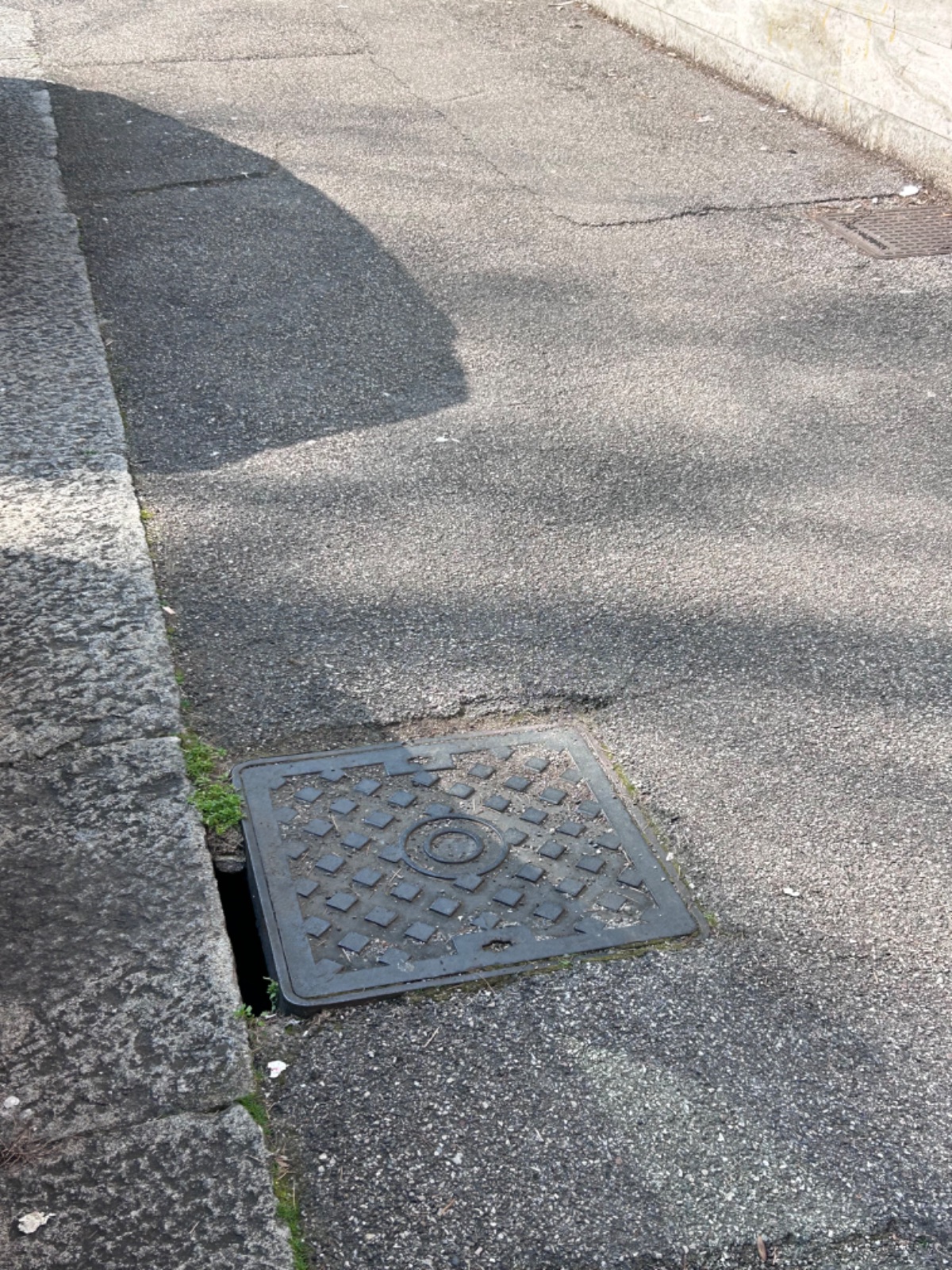 Foto 2 della segnalazione MVV-45035