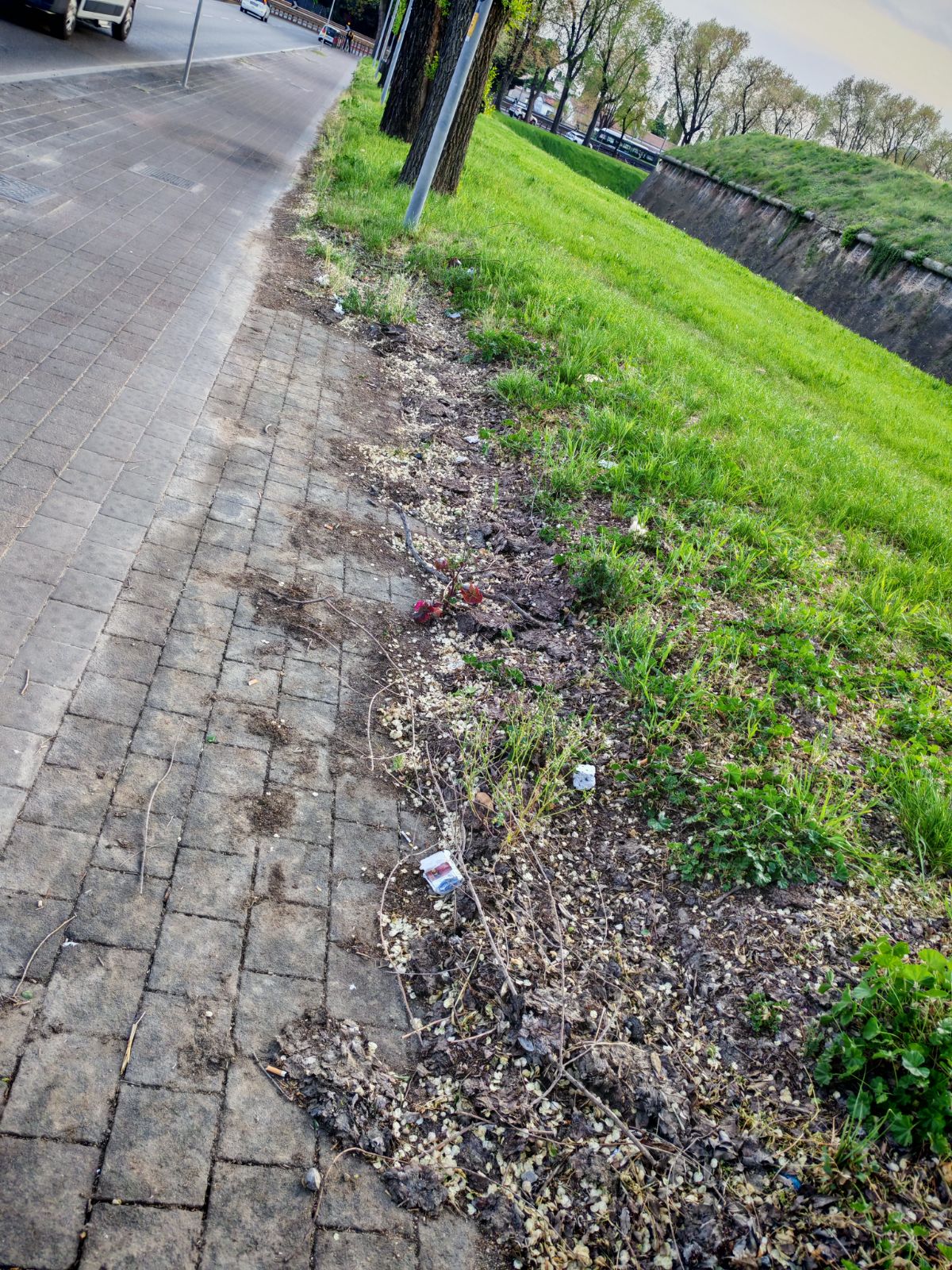 Via Francesco Torbido