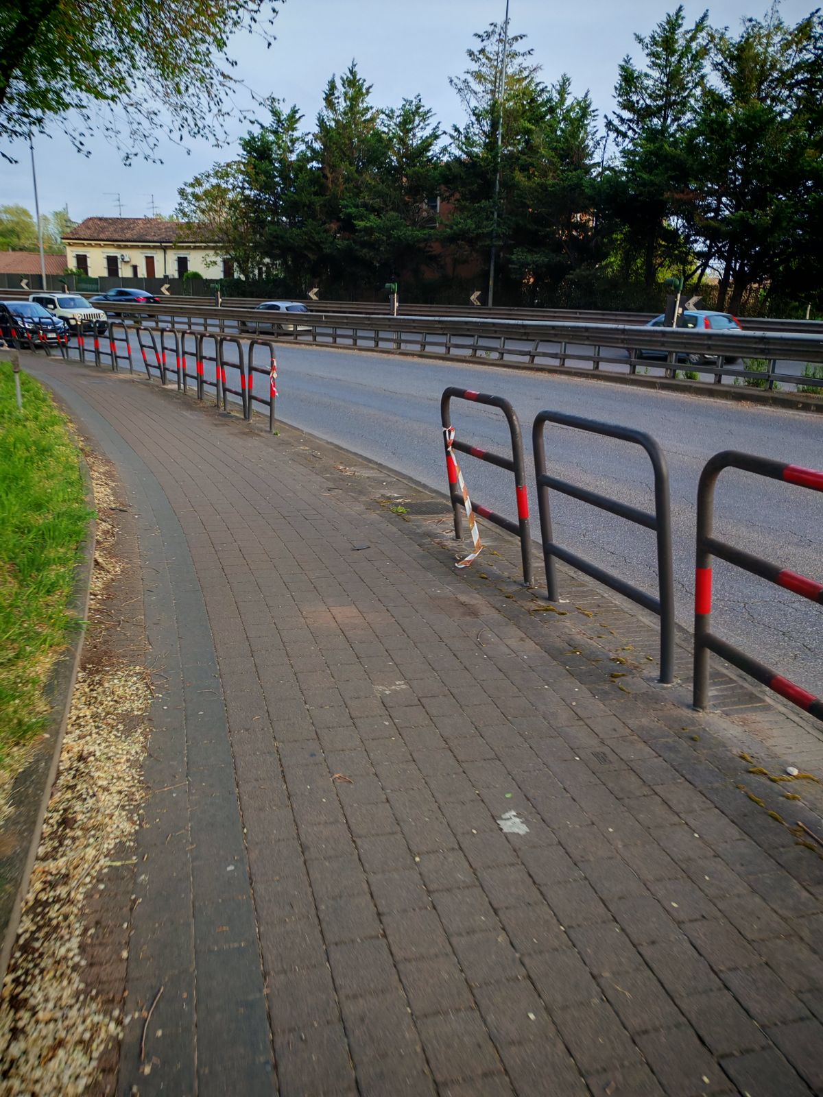 Foto 3 della segnalazione MVV-28548