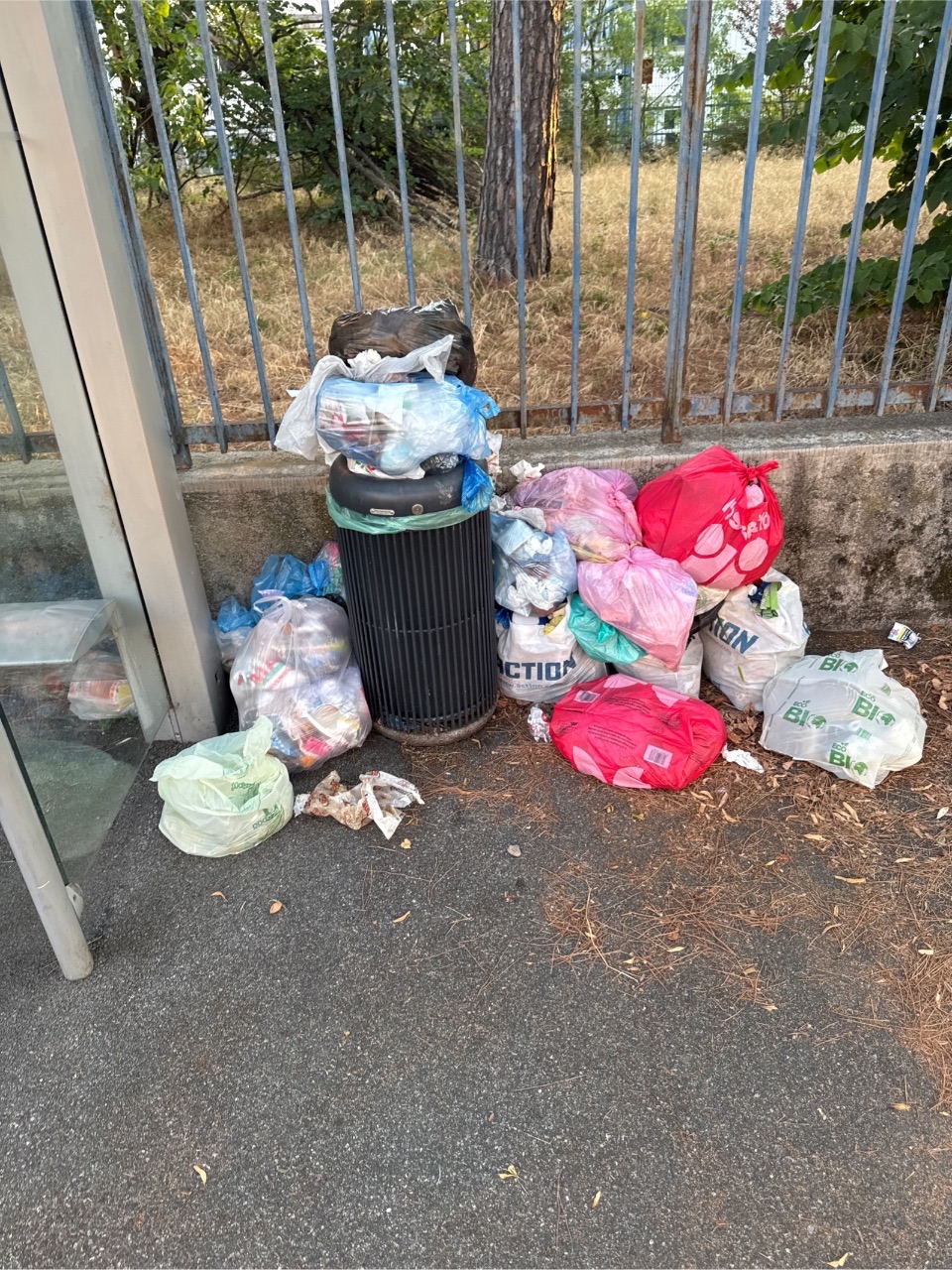 Foto segnalazione MVV-08596