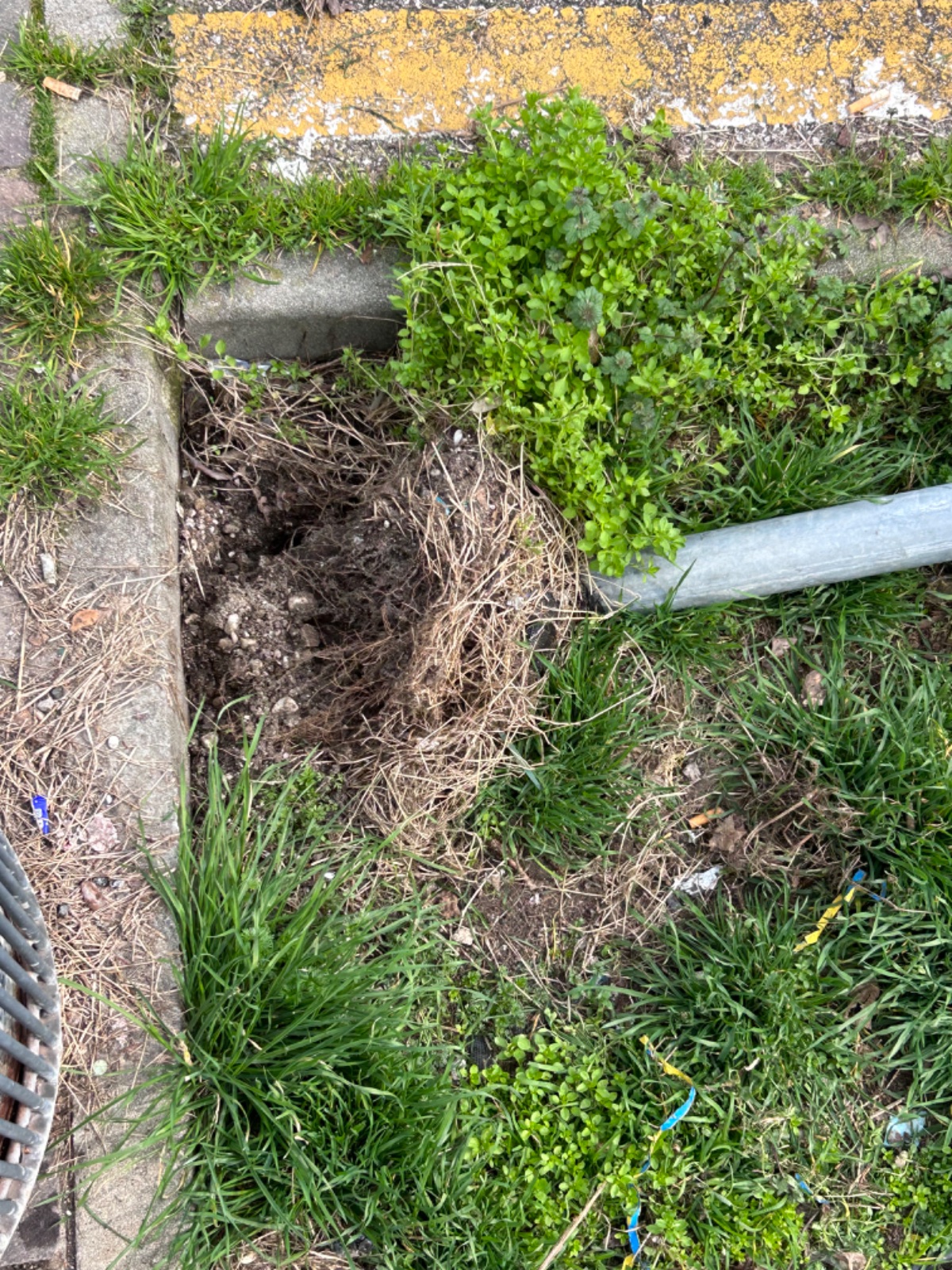 Foto 2 della segnalazione MVV-46411