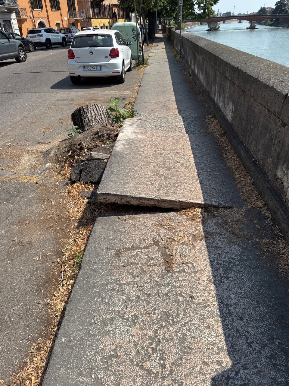 Foto segnalazione MVV-62864
